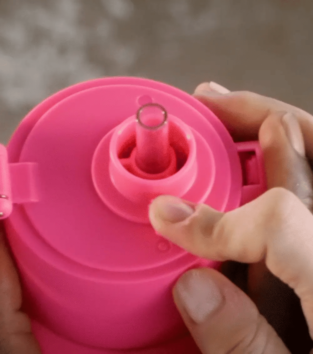 Frank Green Switch Lid with Strap and Straw | Blushed