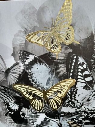 Butterfly beauty blushed canvas