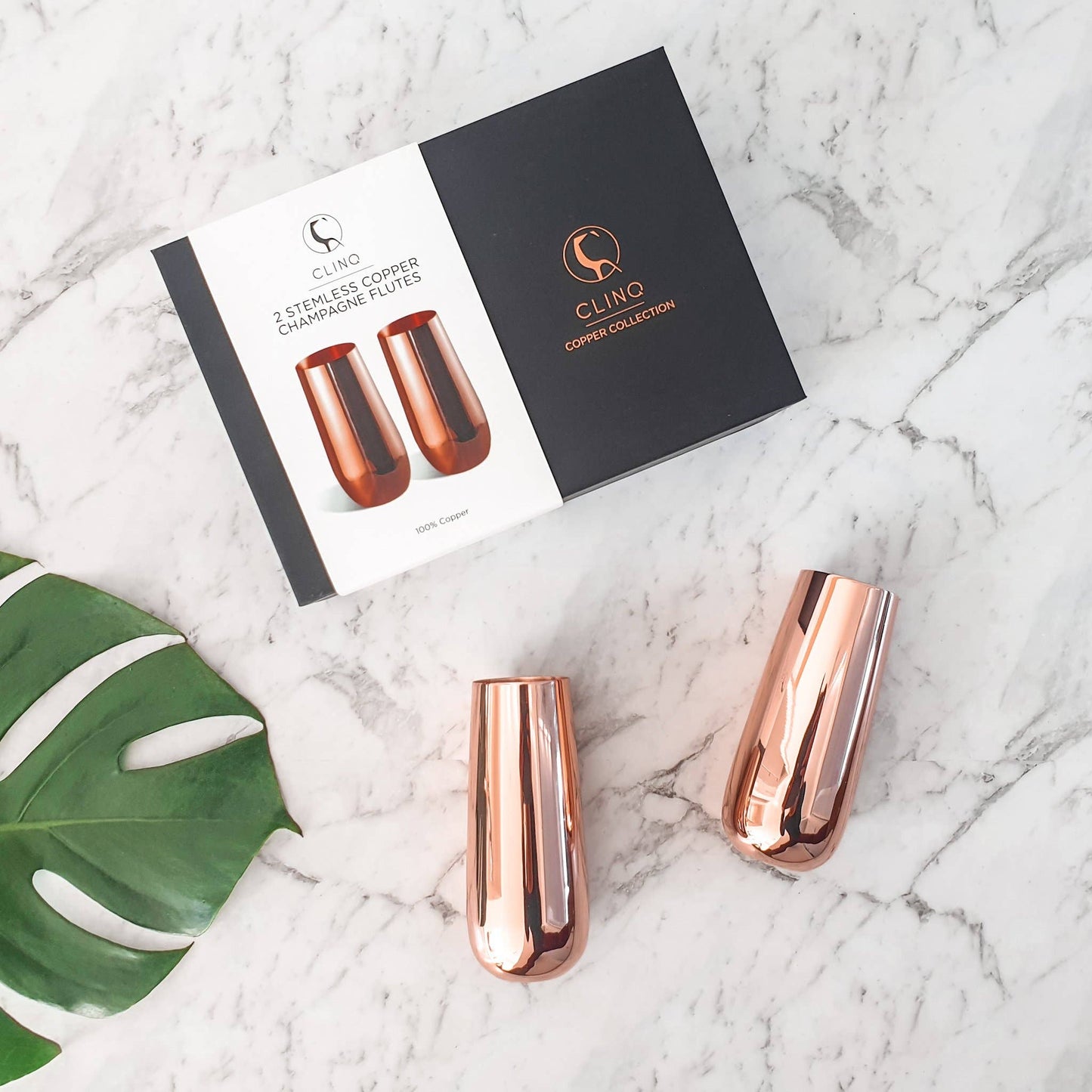 Stemless Champagne Flutes (Set of 2)