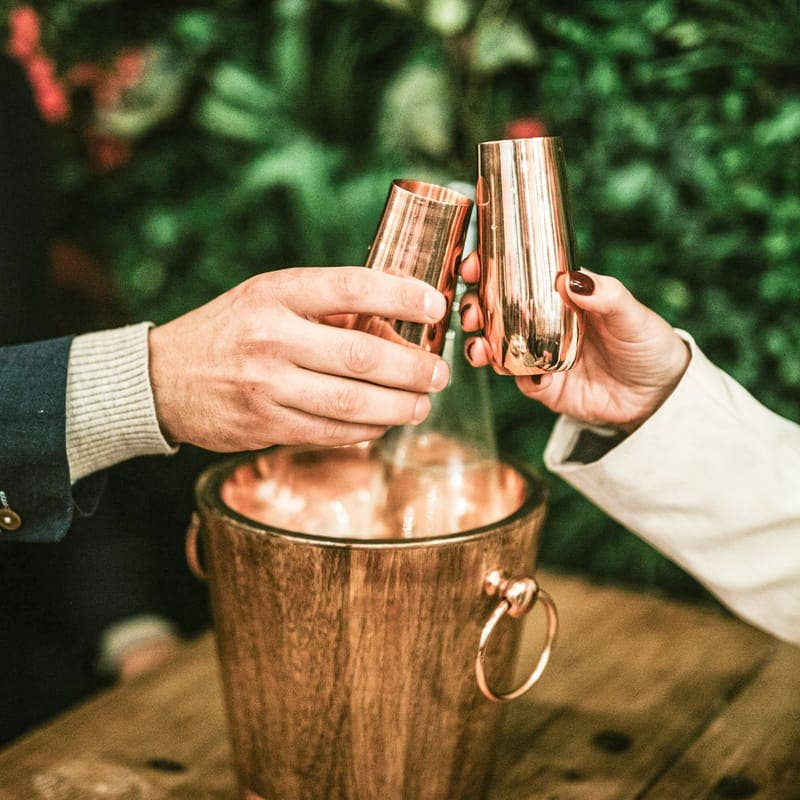 Stemless Champagne Flutes (Set of 2)