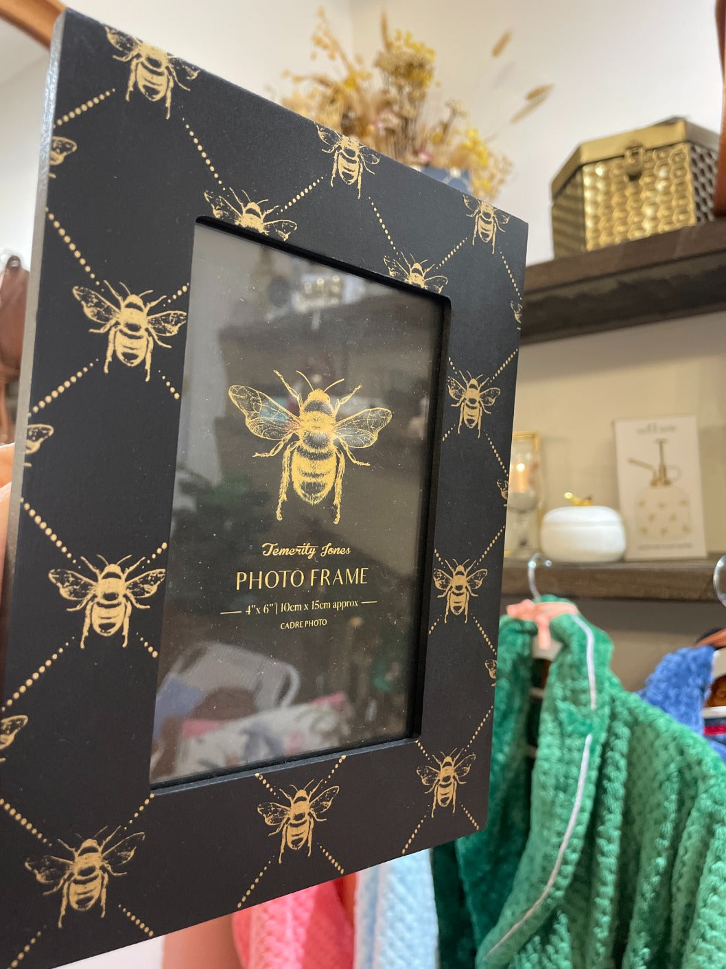 Geko Bee Style Photo Frame