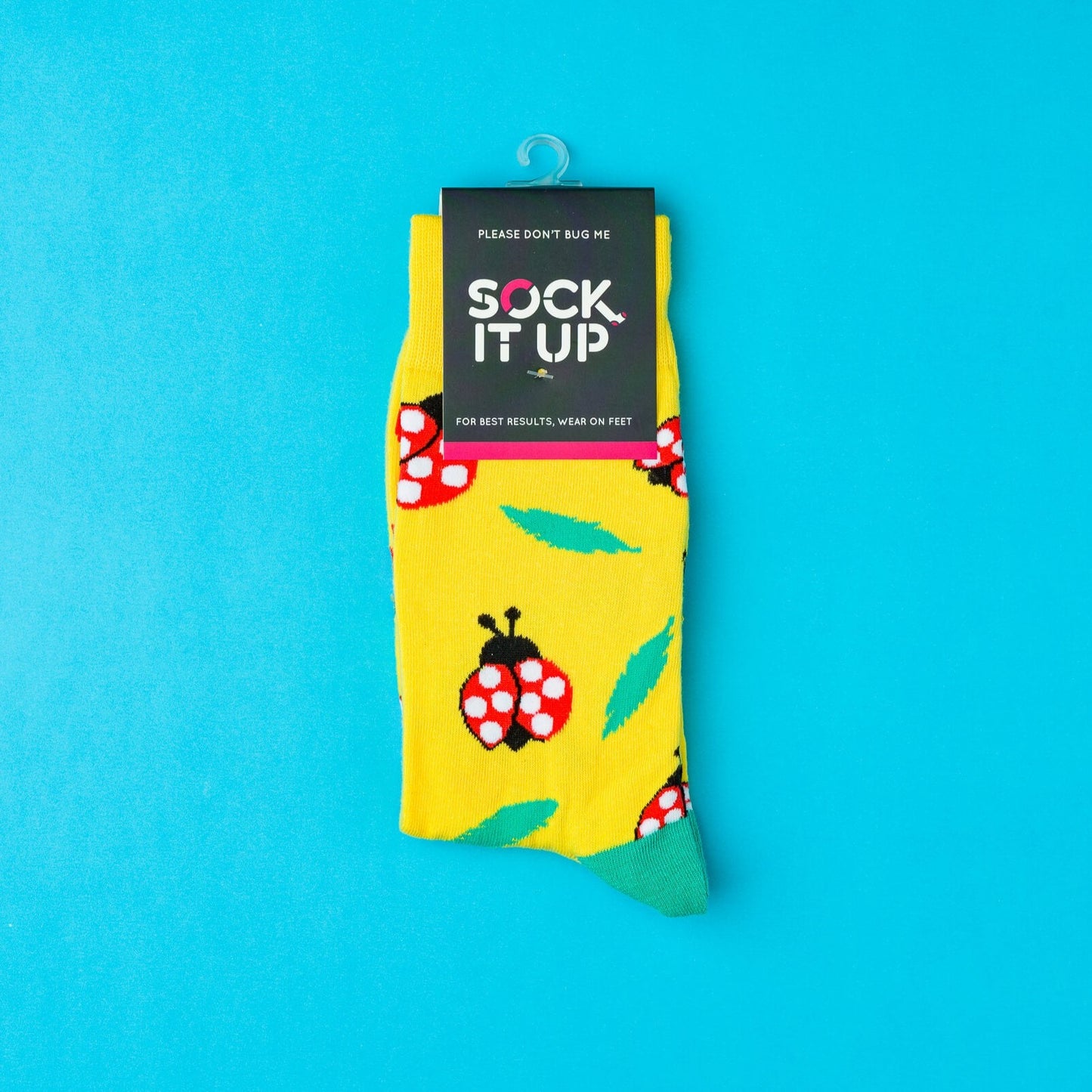 Sock it Up Please Don't Bug Me Socks available at The Honey Emporium