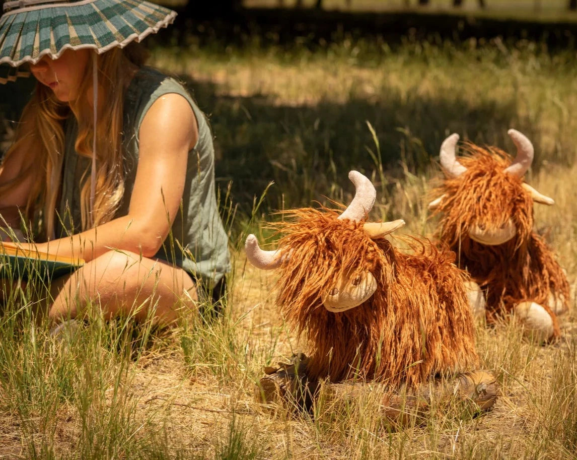 Nana Huchy Heidi the Highland Cow available at The Honey Emporium