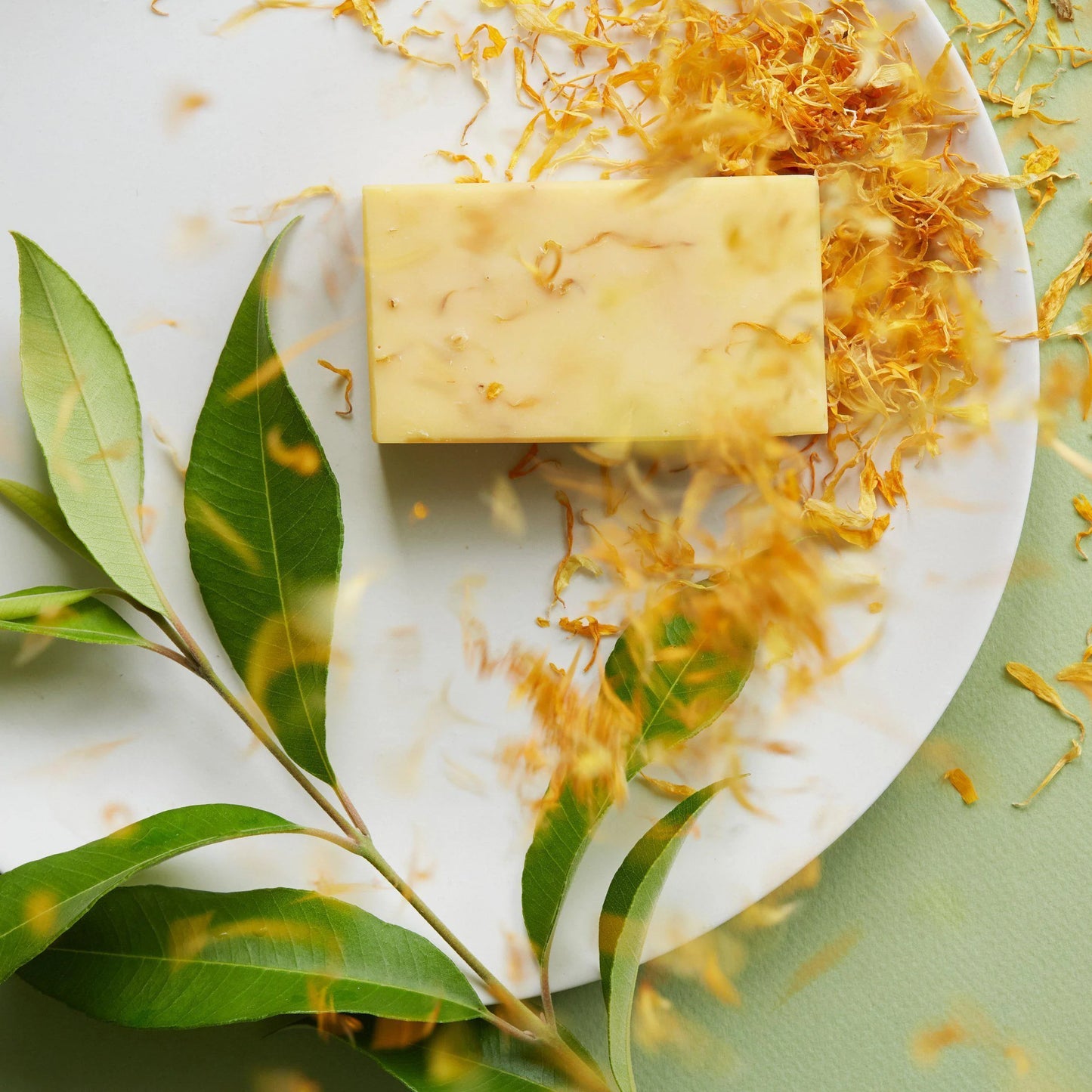 Scrubba Body Soap | Lemon Myrtle & Calendula available at The Honey Emporium