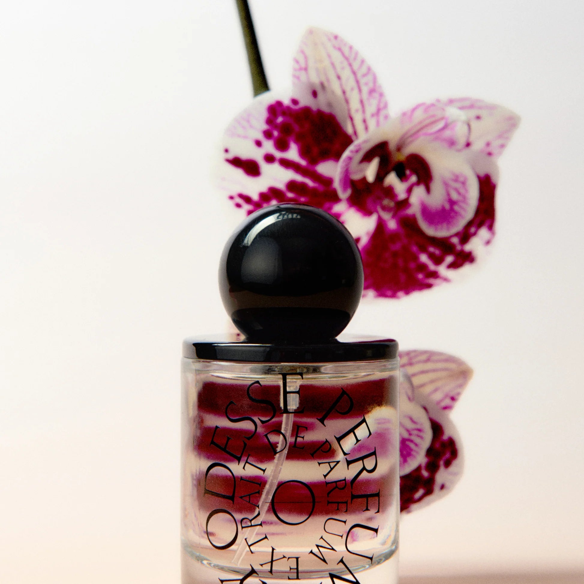 Odesse Deep Orchid Extrait De Parfum 50ml available at The Honey Emporium